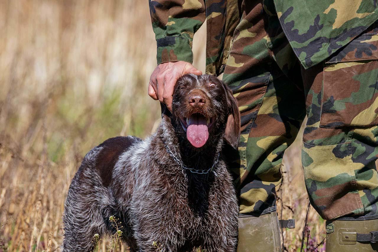 Therapiehund mit Soldat